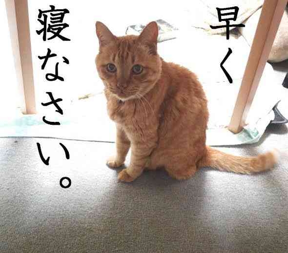 今日一日中寝てた人の集い