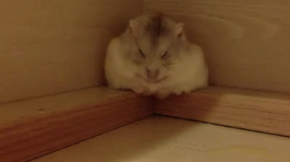 疲れて気絶するように寝てしまう