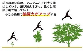 忍者になりたい息子のためにできること