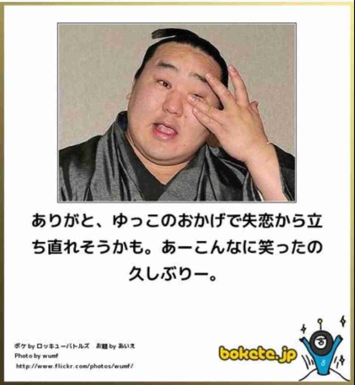 何度見ても秀逸だと思う「bokete」を貼っていくトピPart15