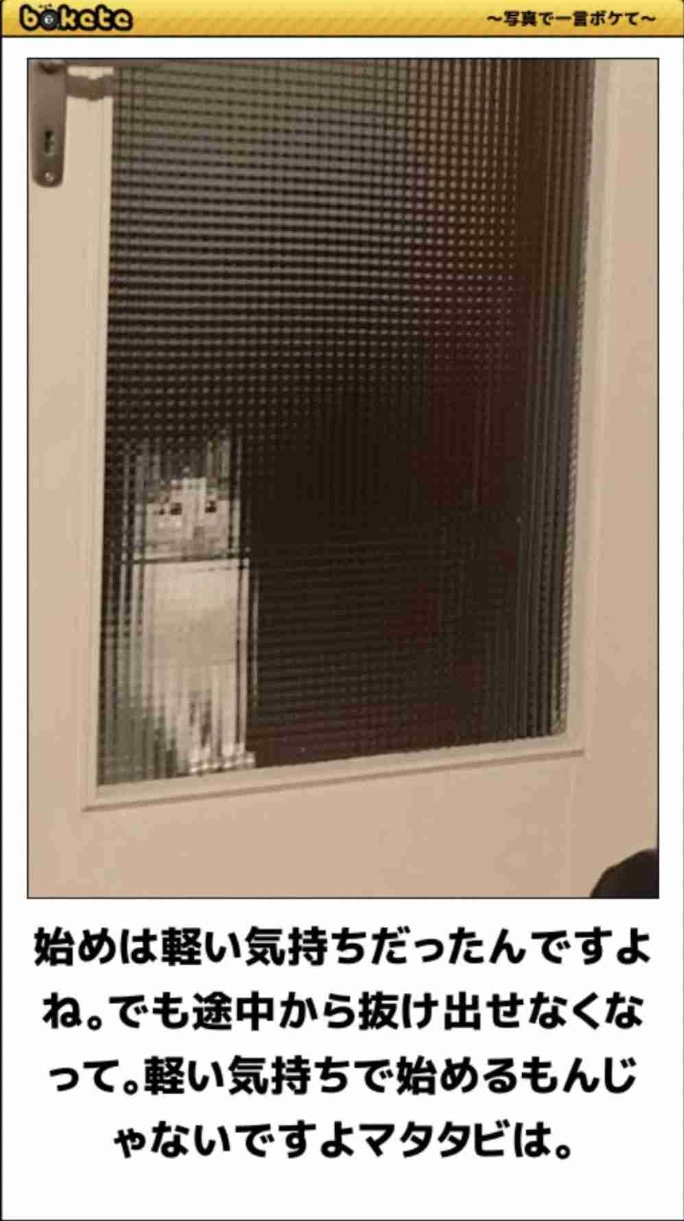 何度見ても秀逸だと思う「bokete」を貼っていくトピPart15