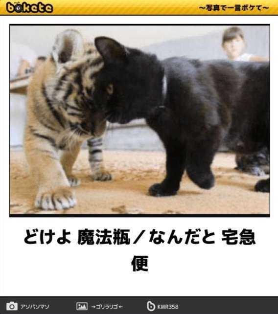 何度見ても秀逸だと思う「bokete」を貼っていくトピPart15