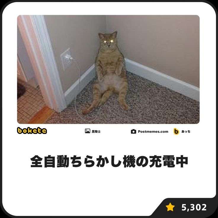 何度見ても秀逸だと思う「bokete」を貼っていくトピPart15