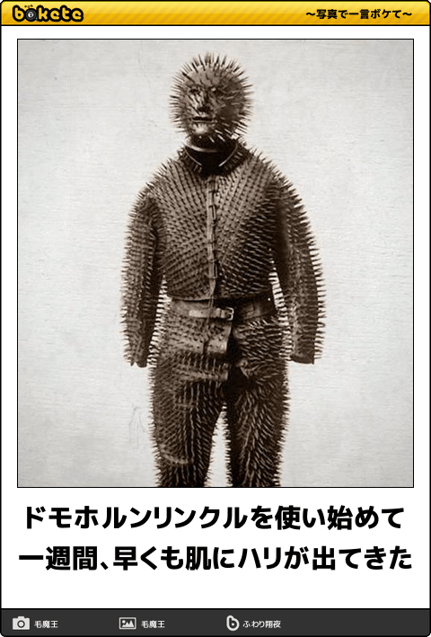 何度見ても秀逸だと思う「bokete」を貼っていくトピPart15