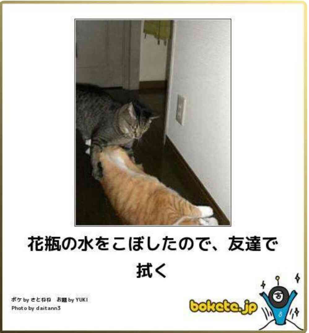 何度見ても秀逸だと思う「bokete」を貼っていくトピPart15