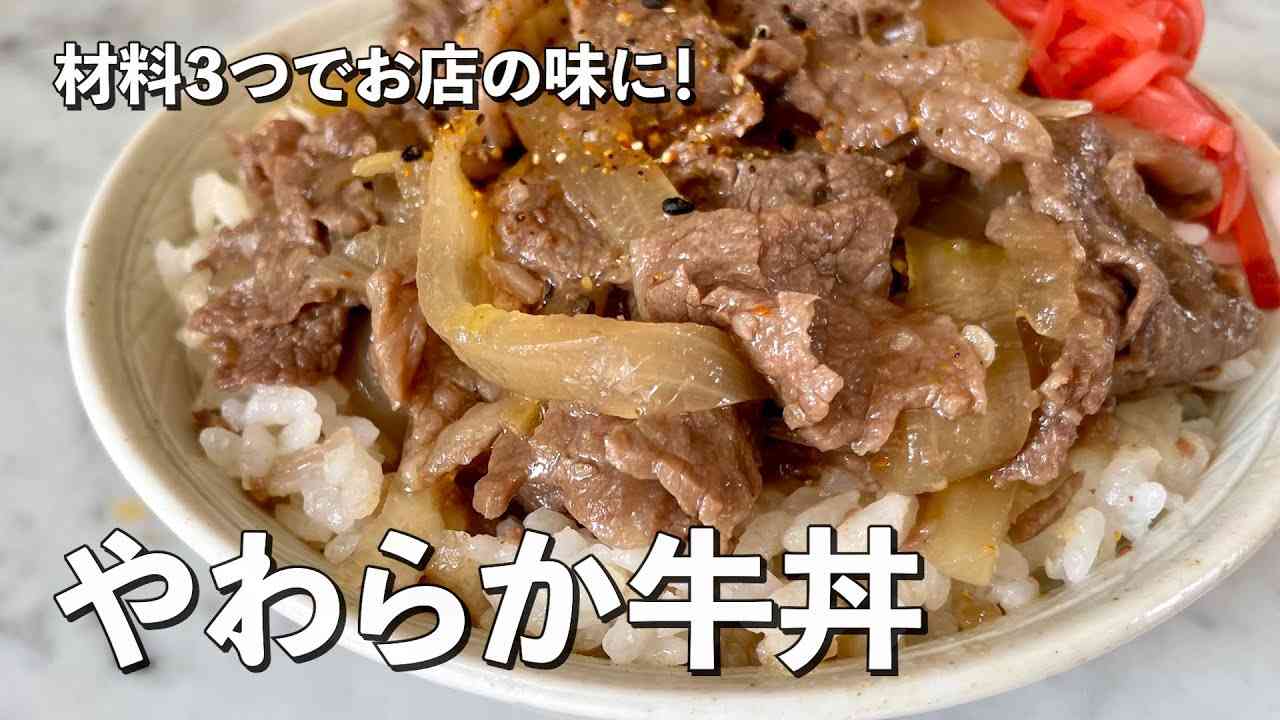 晩ご飯に牛丼はどうですか?