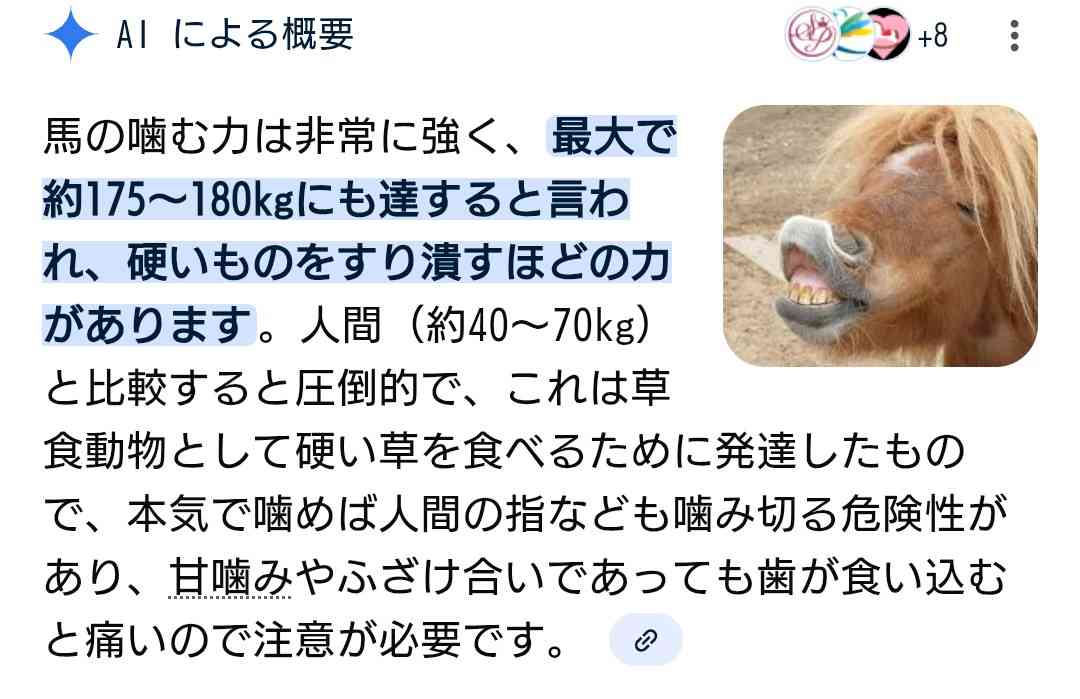 4歳女児が餌やり体験で馬に指をかみ切られ切断、施設運営の男を業務上過失傷害の容疑で書類送検…山梨県警