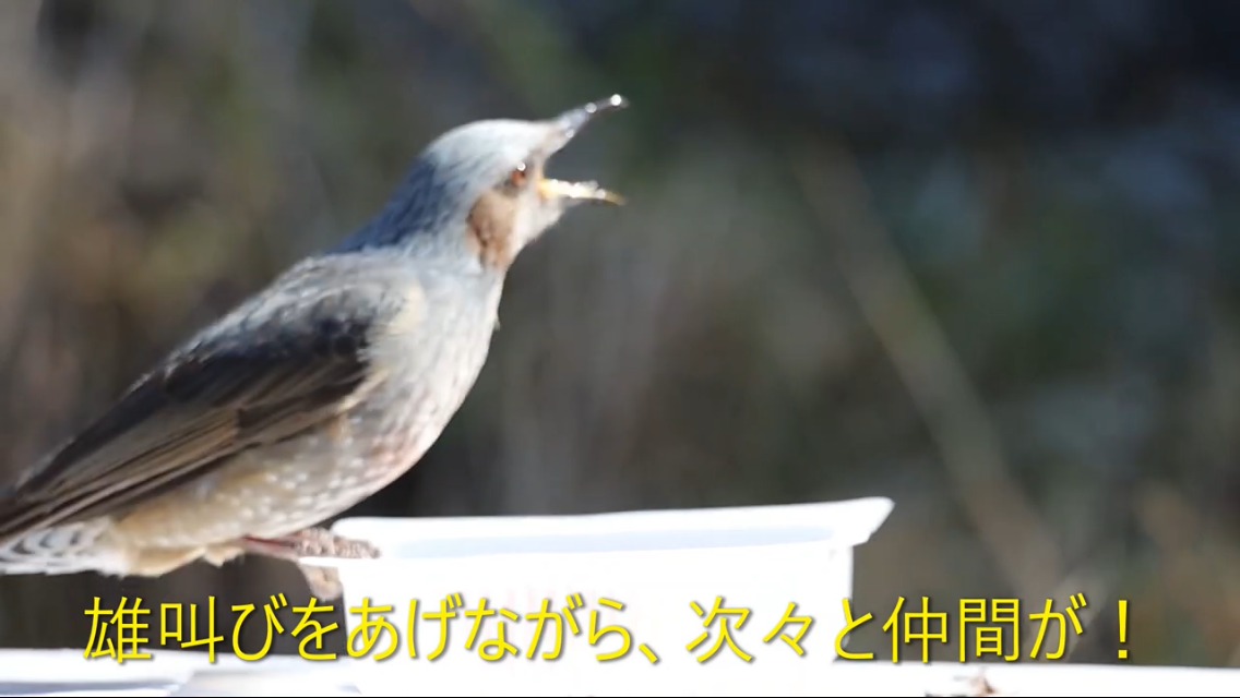ここのコレは良かった!