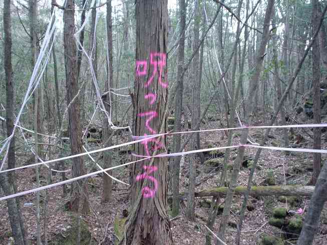 呪いについて語ろう！