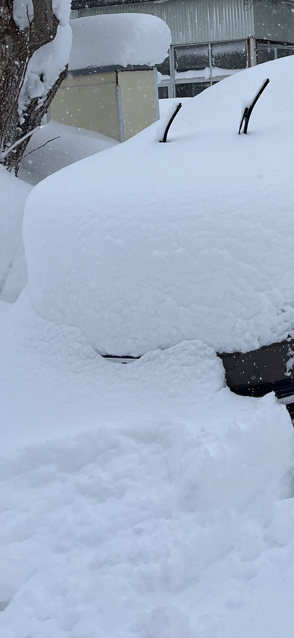 【情報共有トピ】東北から山陰に大雪　明日25日にかけて積雪急増