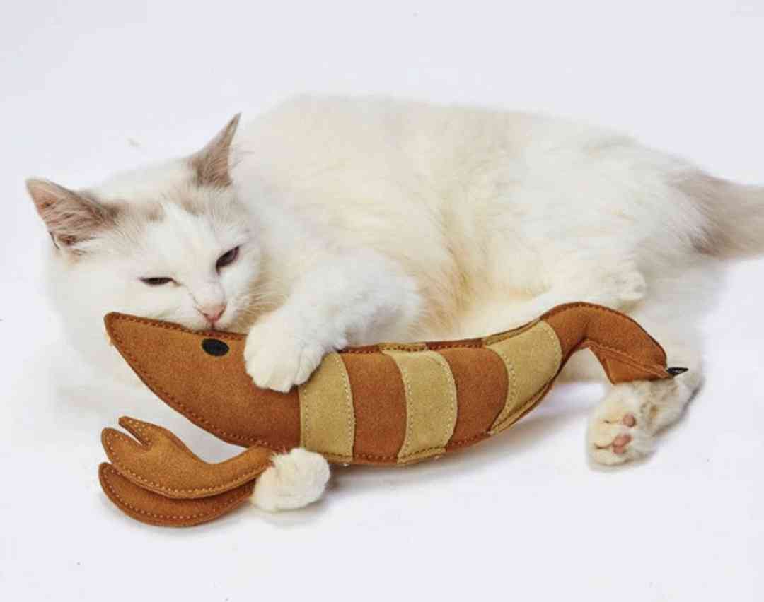 これがあると便利!これ良かった!猫グッズを教えてください【猫による前提】