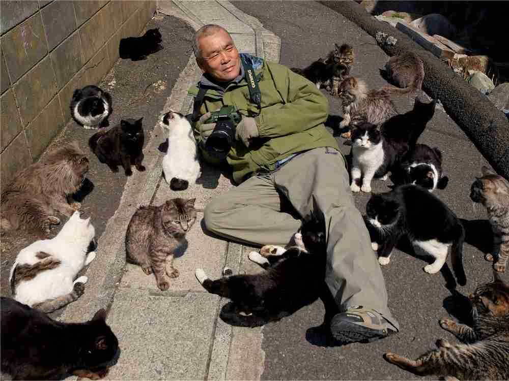これがあると便利!これ良かった!猫グッズを教えてください【猫による前提】