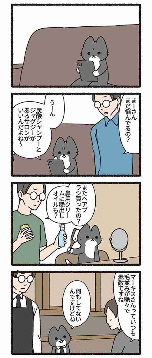 これがあると便利!これ良かった!猫グッズを教えてください【猫による前提】