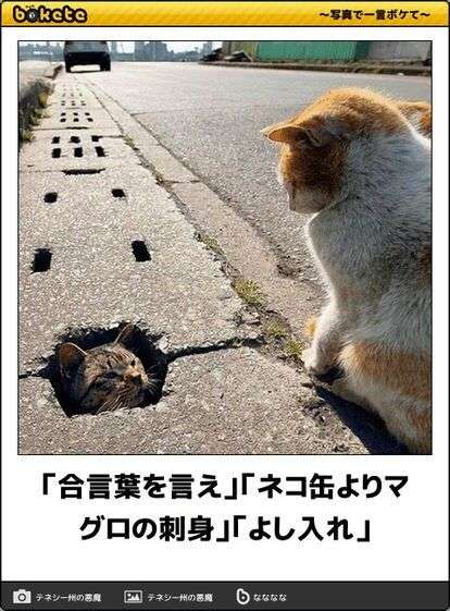 やさしくなりたいトピ