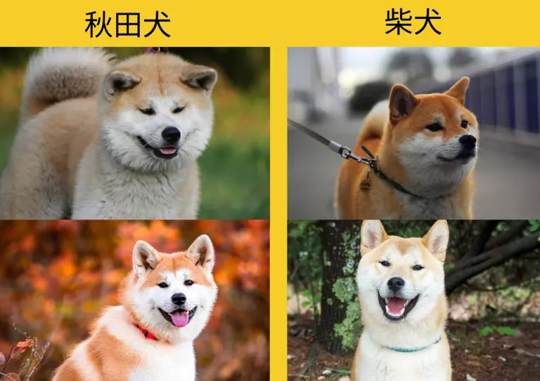 【ネタ可】日本が舞台のディズニー映画にありがちなこと