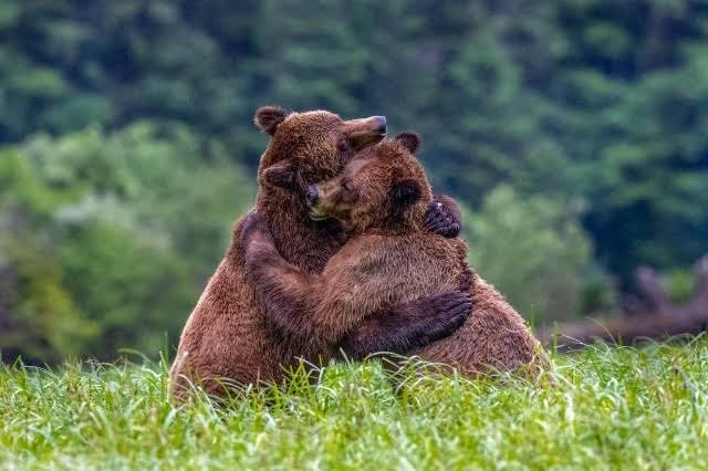 好きな人へのアピール
