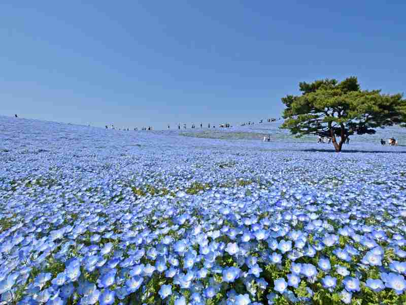 家から一番近い観光地はどこですか？Part7