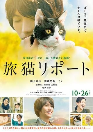 猫好きの心をくすぐる映画、教えてください