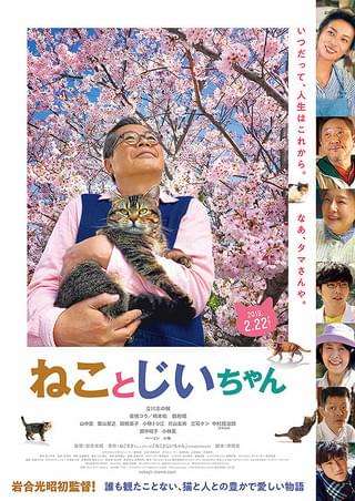 猫好きの心をくすぐる映画、教えてください