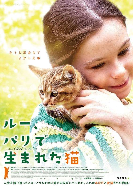 猫好きの心をくすぐる映画、教えてください