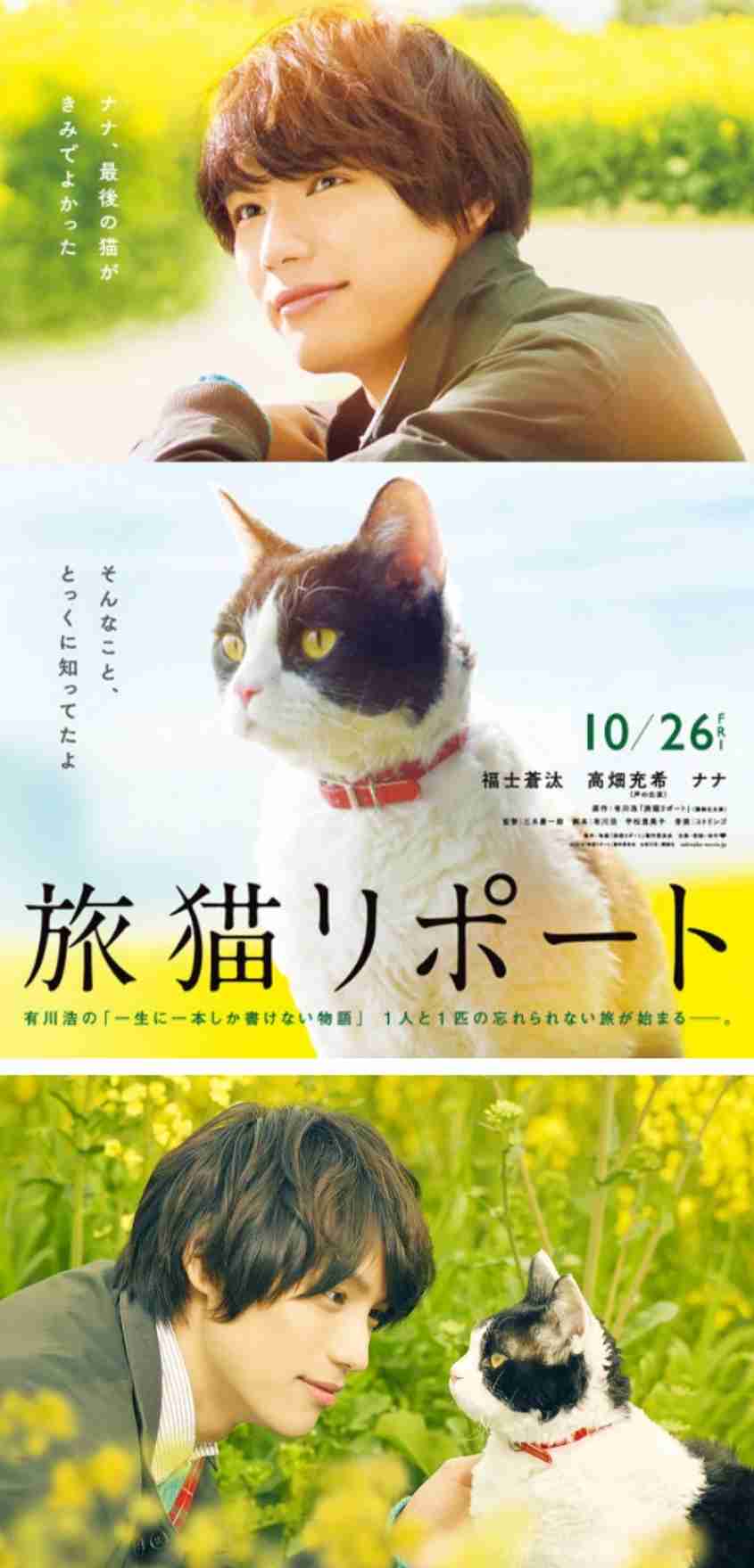 猫好きの心をくすぐる映画、教えてください