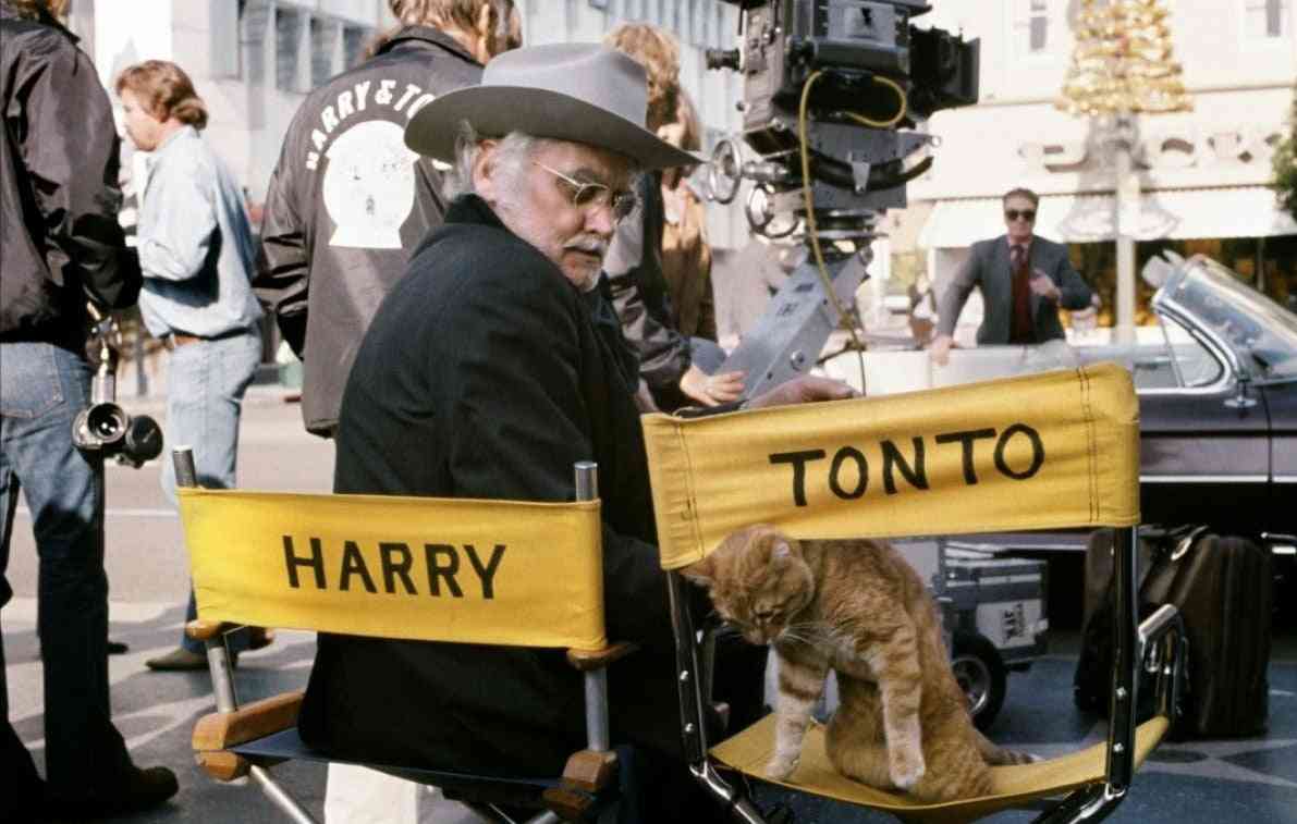 猫好きの心をくすぐる映画、教えてください