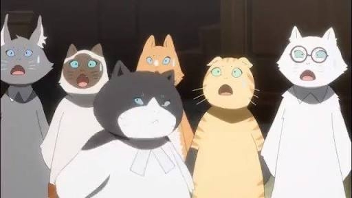 猫好きの心をくすぐる映画、教えてください