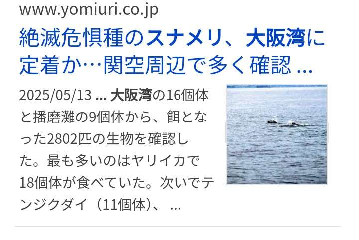 東京湾でスナメリの大群を撮影 調査の「空白地」だった羽田空港の沖