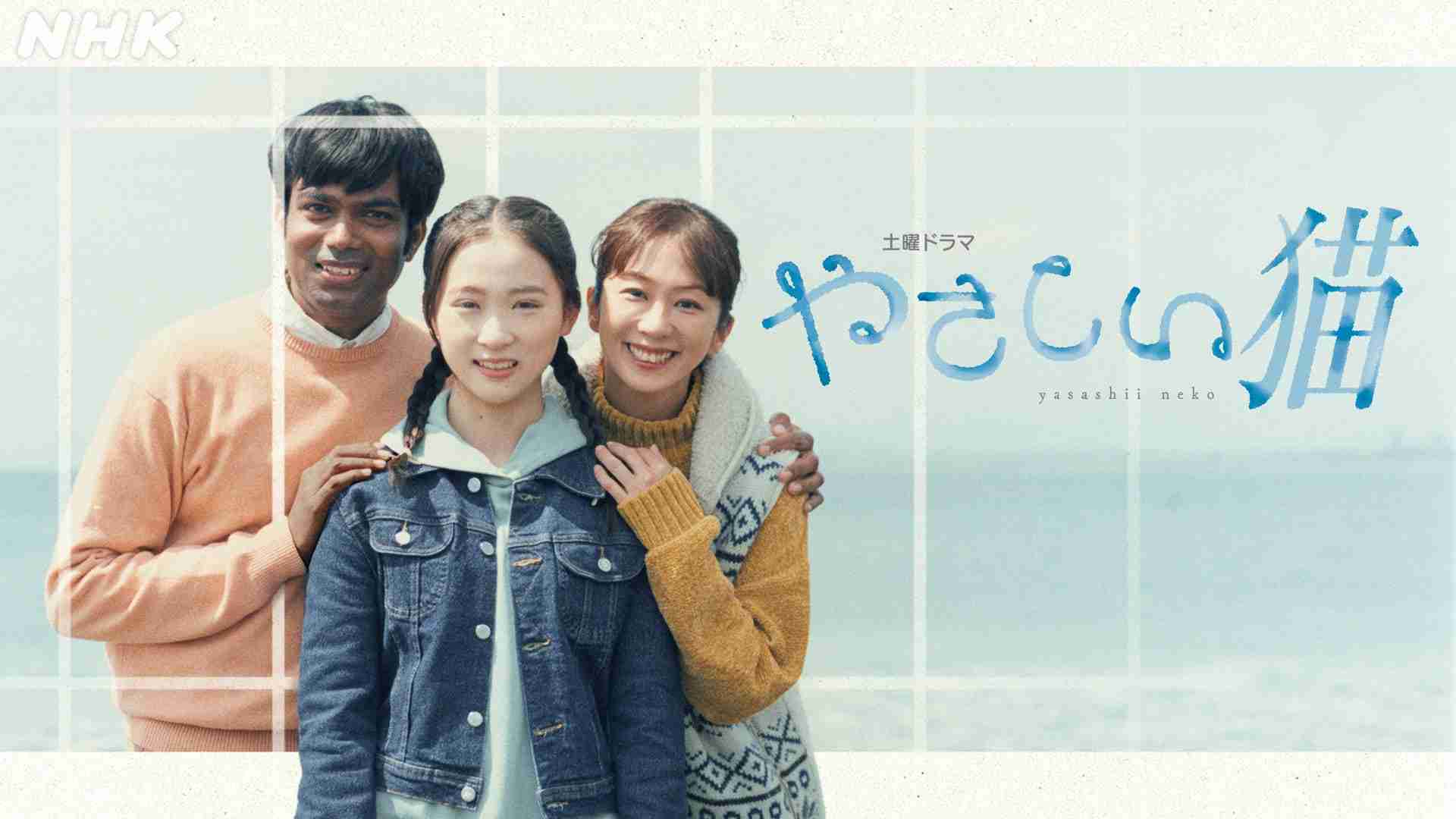 強制送還、弁護士宛て２か月前の通知を廃止へ…逃亡発生受け厳格化