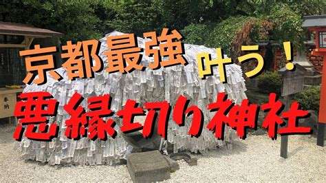 陽キャ側の人にはあまり理解されなさそうな自分の性格や価値観