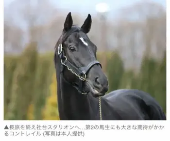 何度見ても笑ってしまう好きな写真を貼るトピ