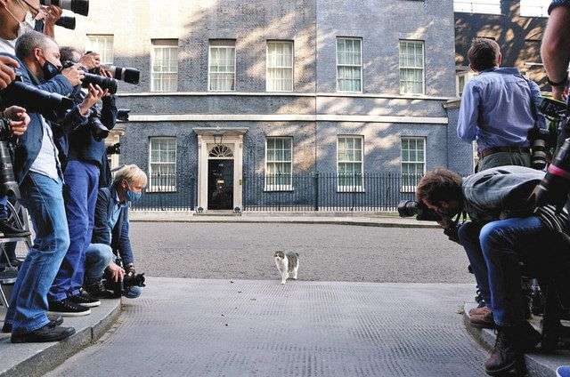 何度見ても笑ってしまう好きな写真を貼るトピ