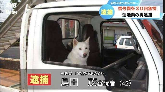 何度見ても笑ってしまう好きな写真を貼るトピ