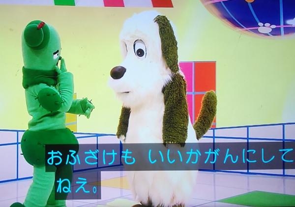 何度見ても笑ってしまう好きな写真を貼るトピ