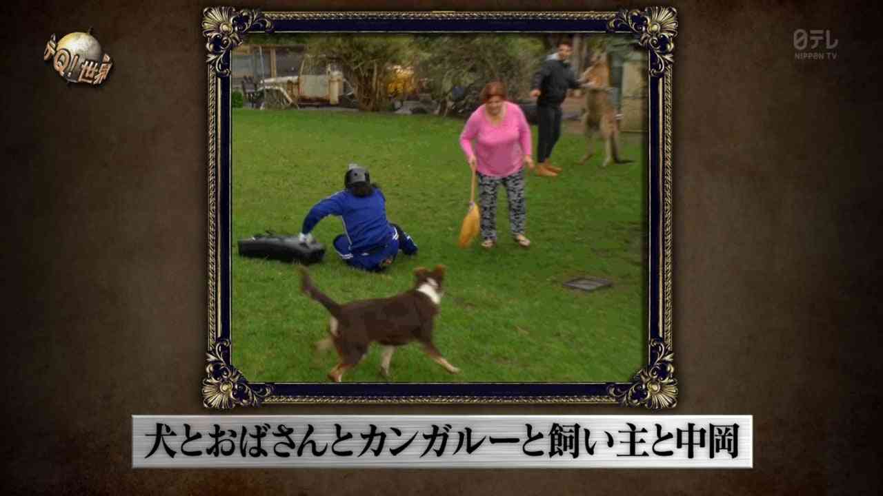 何度見ても笑ってしまう好きな写真を貼るトピ