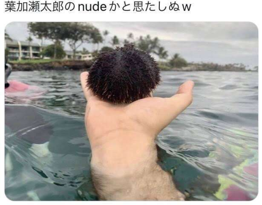 何度見ても笑ってしまう好きな写真を貼るトピ