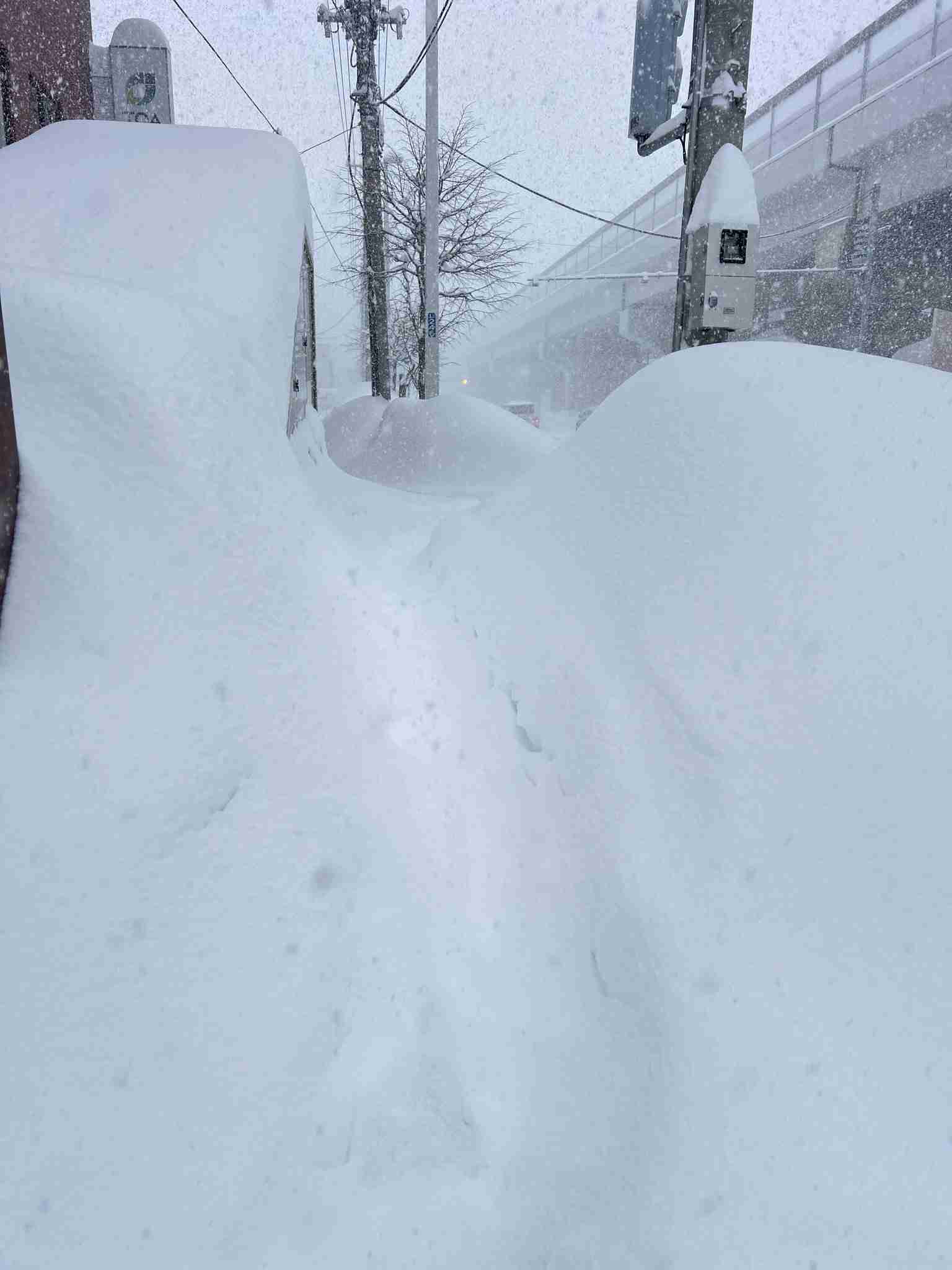 【災害級の大雪】新千歳空港が