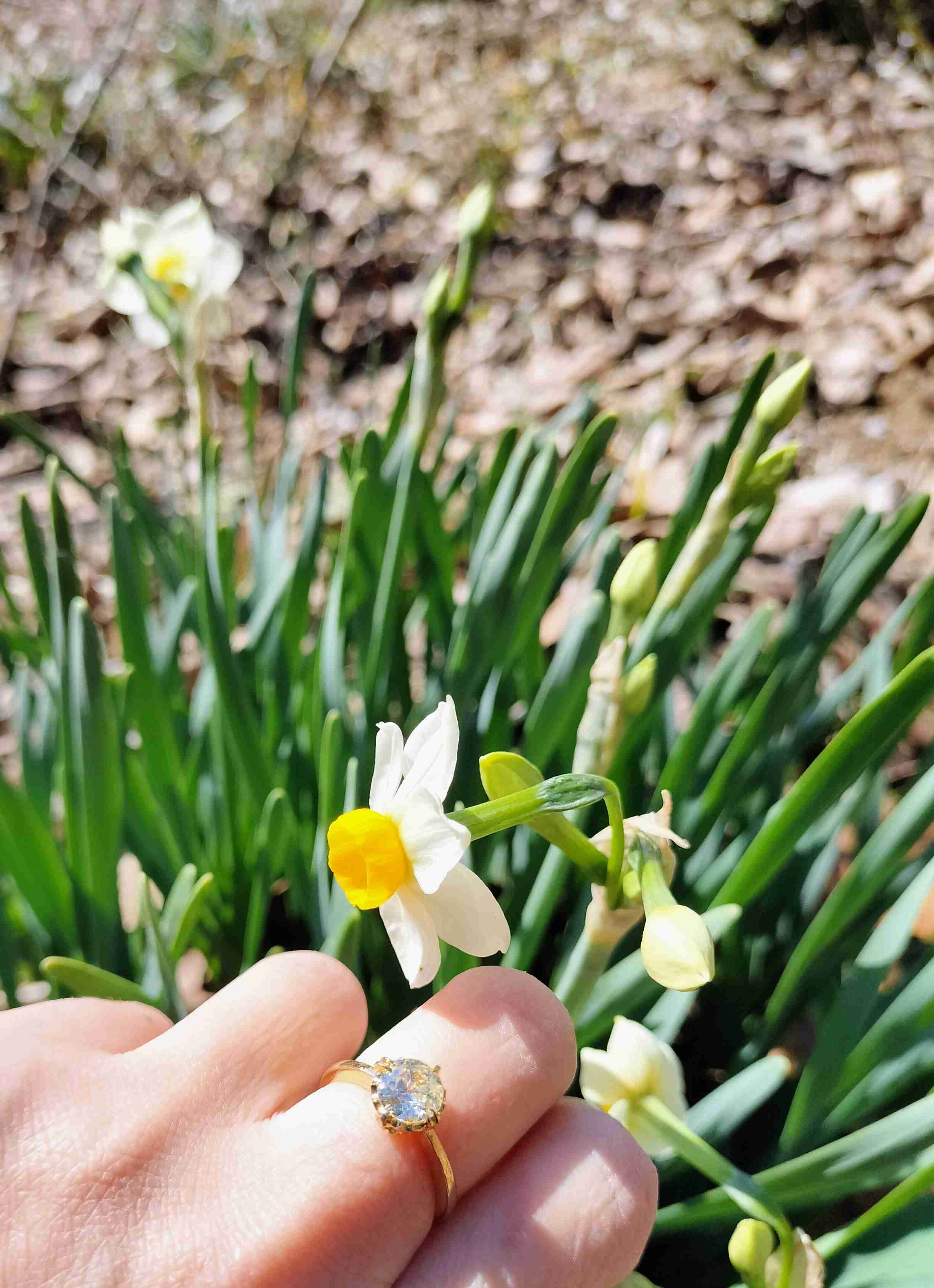 【1月】ジュエリー【総合トピ】