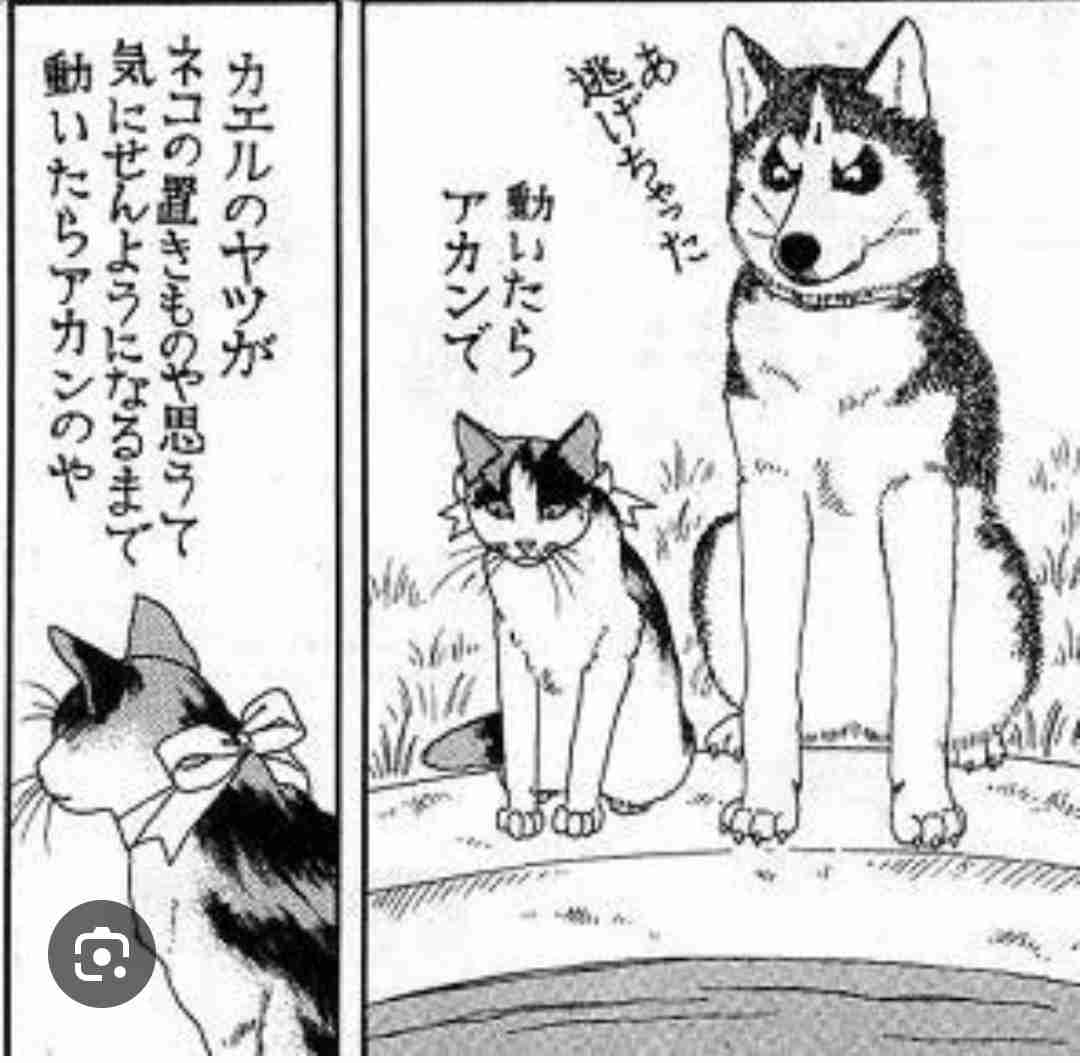 犬がほかの動物にやさしい理由 犬の愛情深さと仲間意識の背景