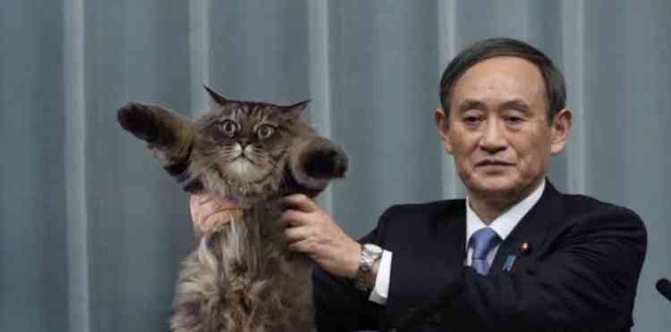 ガルちゃんで見飽きたコメント part18