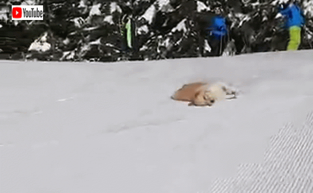 【外出】大雪の時の過ごし方【自宅】