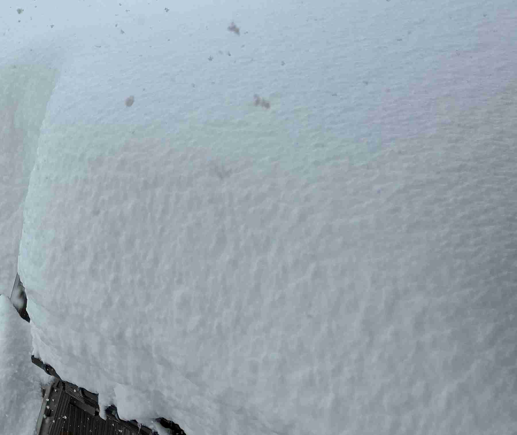 【外出】大雪の時の過ごし方【自宅】