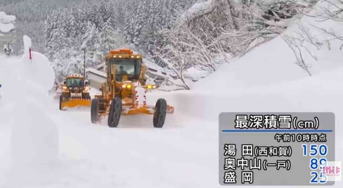 最近はクマ出ないの？