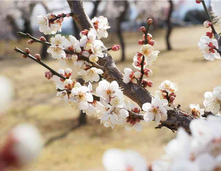 寒いけどやっぱり冬がいちばん好き