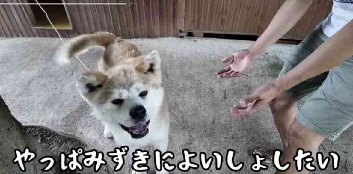 【ポタ電】ポータブル電源持ってますか？
