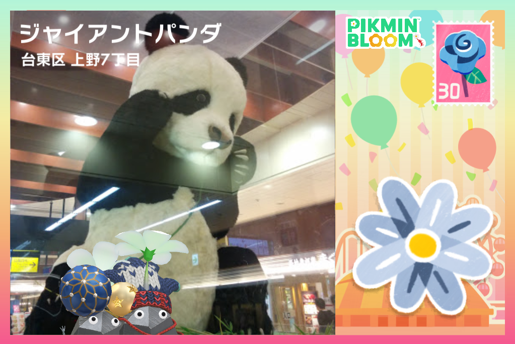 Pikmin Bloom(ピクミンブルーム)ピクミンとおでかけしよう✿Part26✿