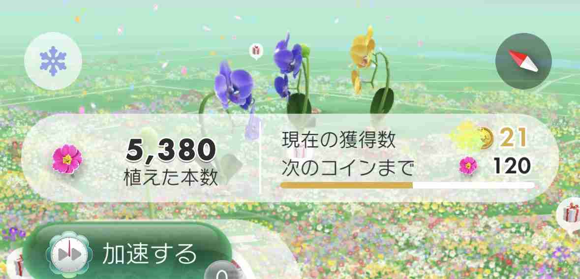 Pikmin Bloom(ピクミンブルーム)ピクミンとおでかけしよう✿Part26✿