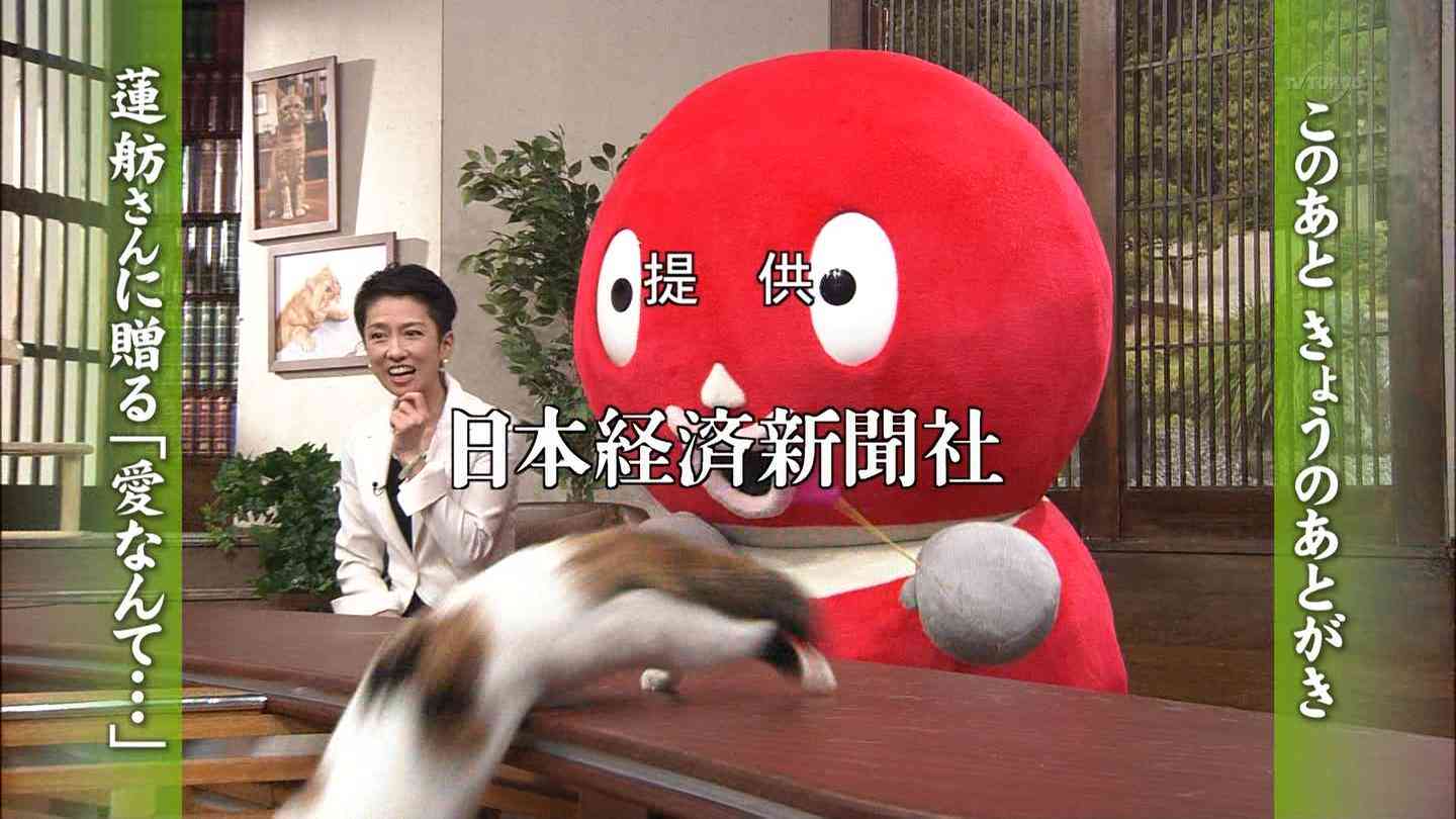 蓮舫氏「中道改革連合＝暴走族の名前みたい」との声に私見「車好きの私には…」
