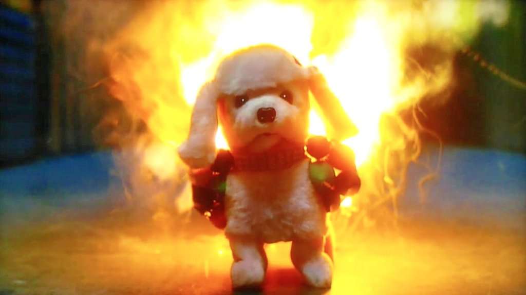 飼い犬にコマンド教えてますか？【おすわりとか】