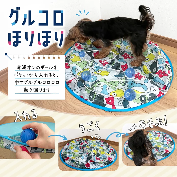 飼い犬にコマンド教えてますか？【おすわりとか】